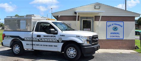 Havelock nc animal control. Things To Know About Havelock nc animal control. 